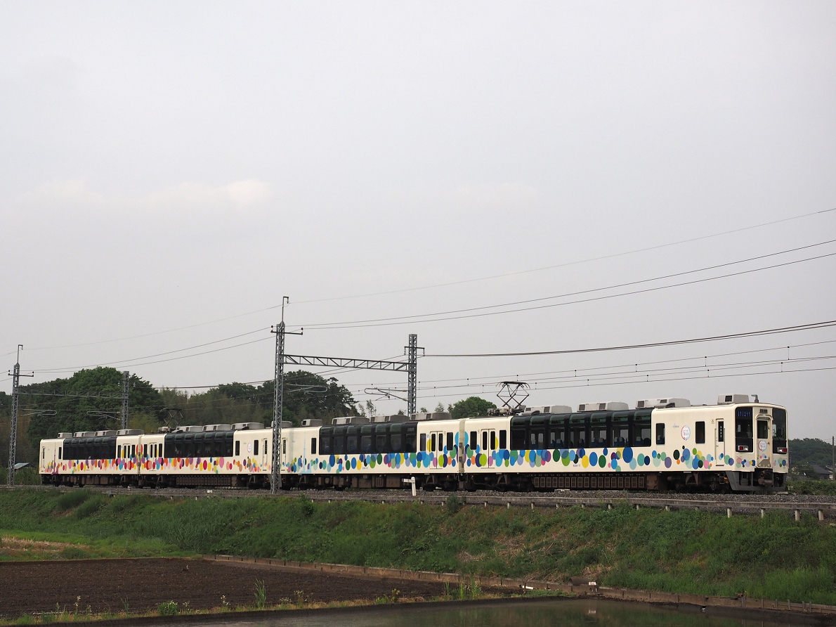 P5168722.jpg