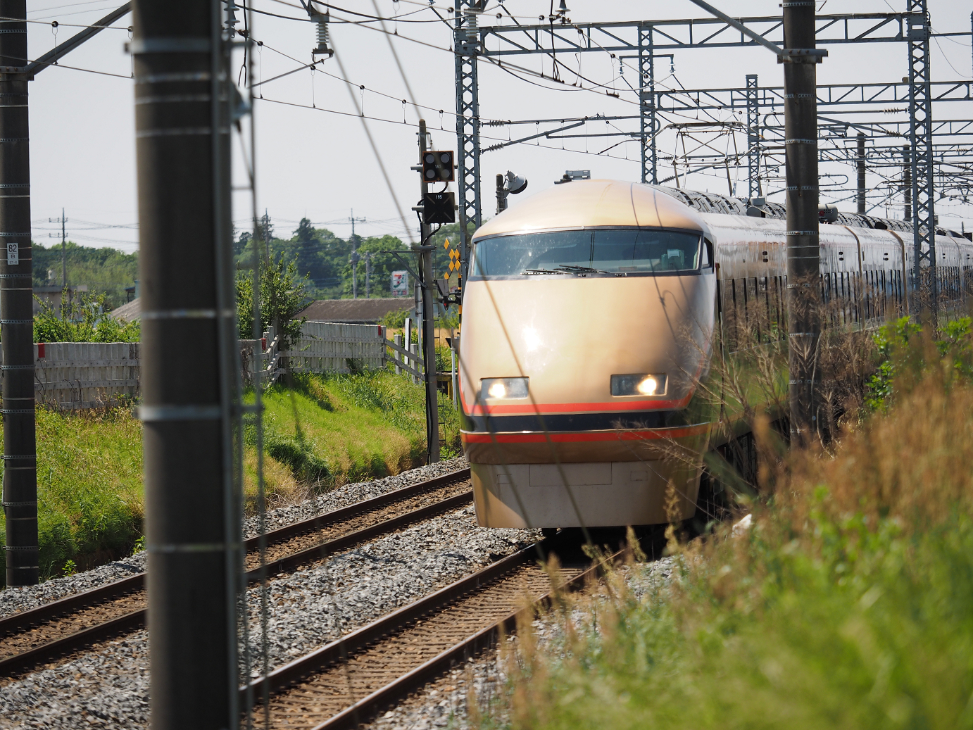 P5178772.jpg