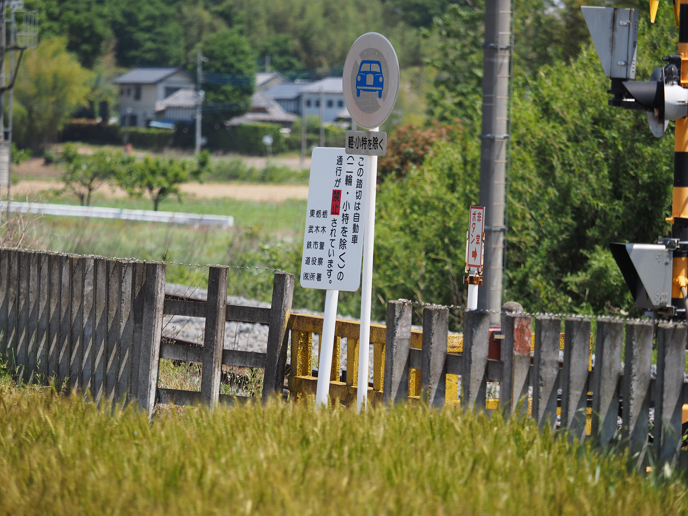 P5178788.jpg