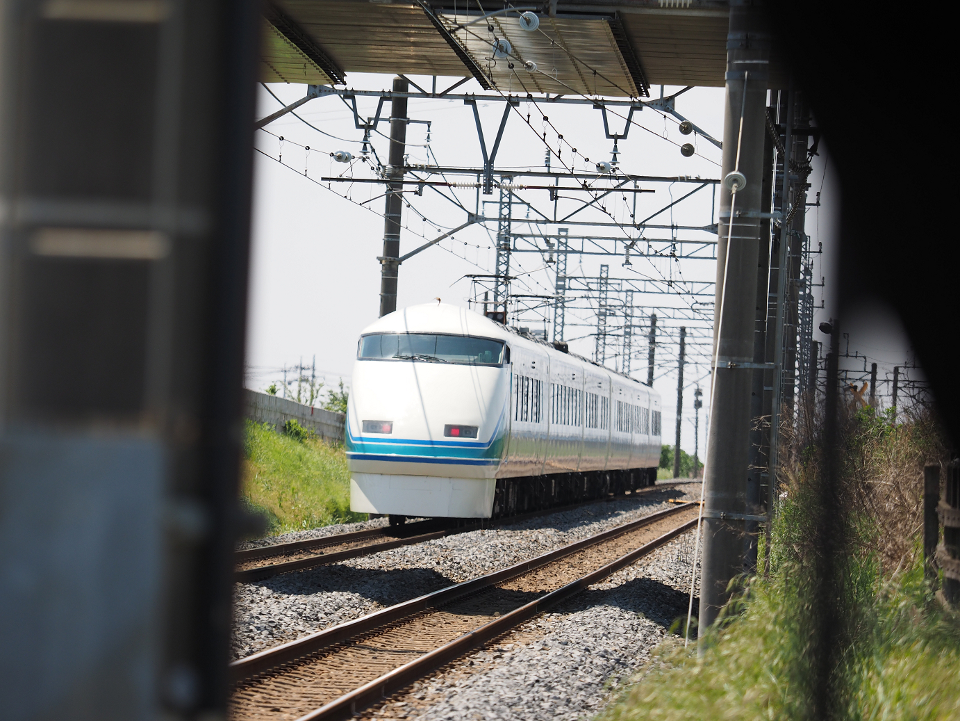 P5178819.jpg
