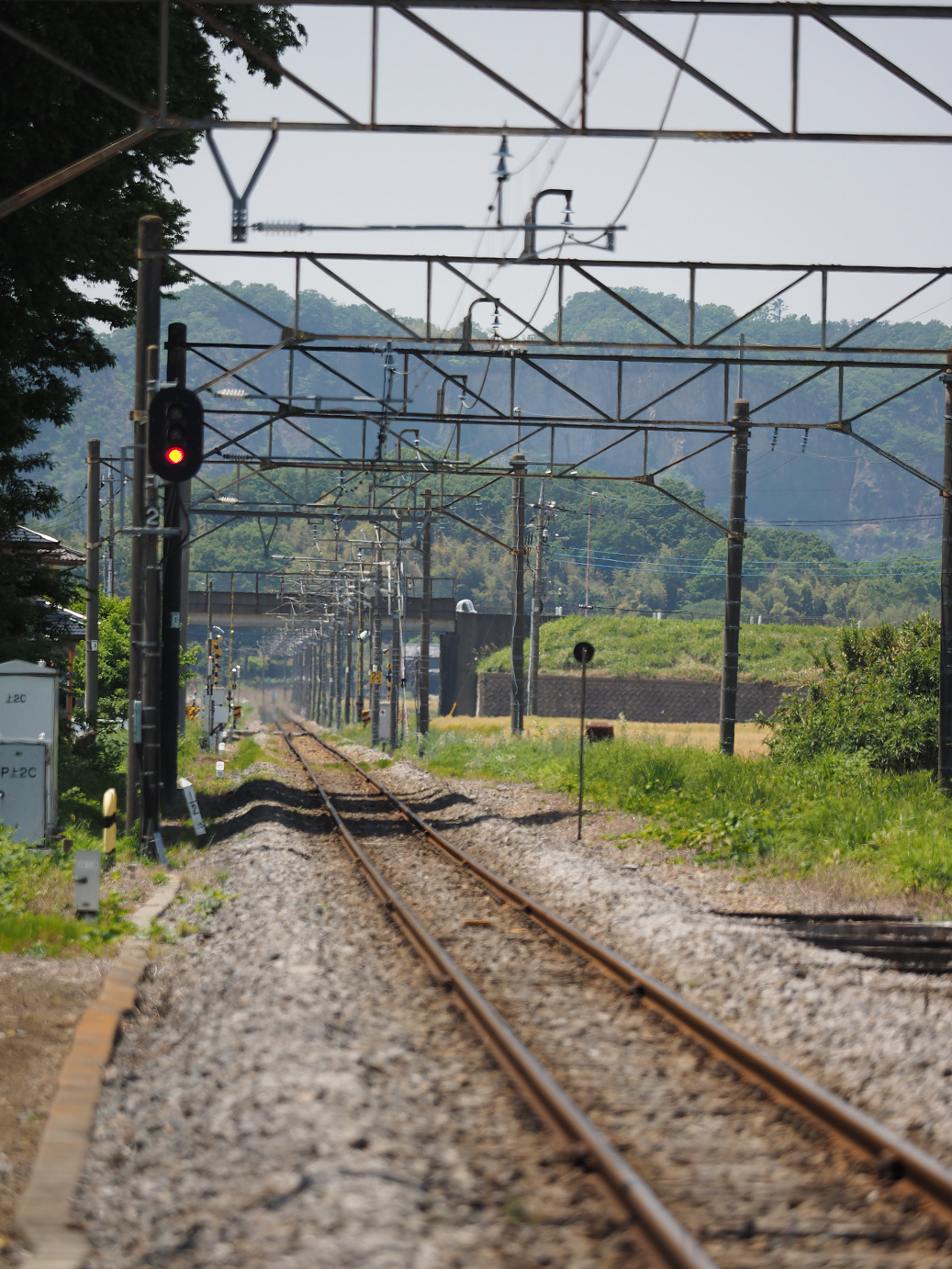 P5178878.jpg