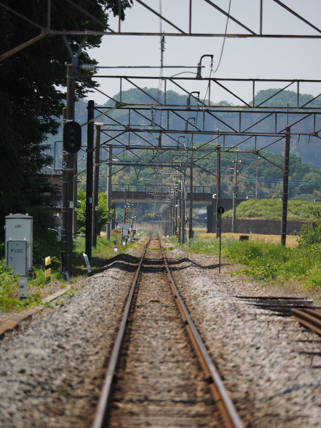 P5178879.jpg