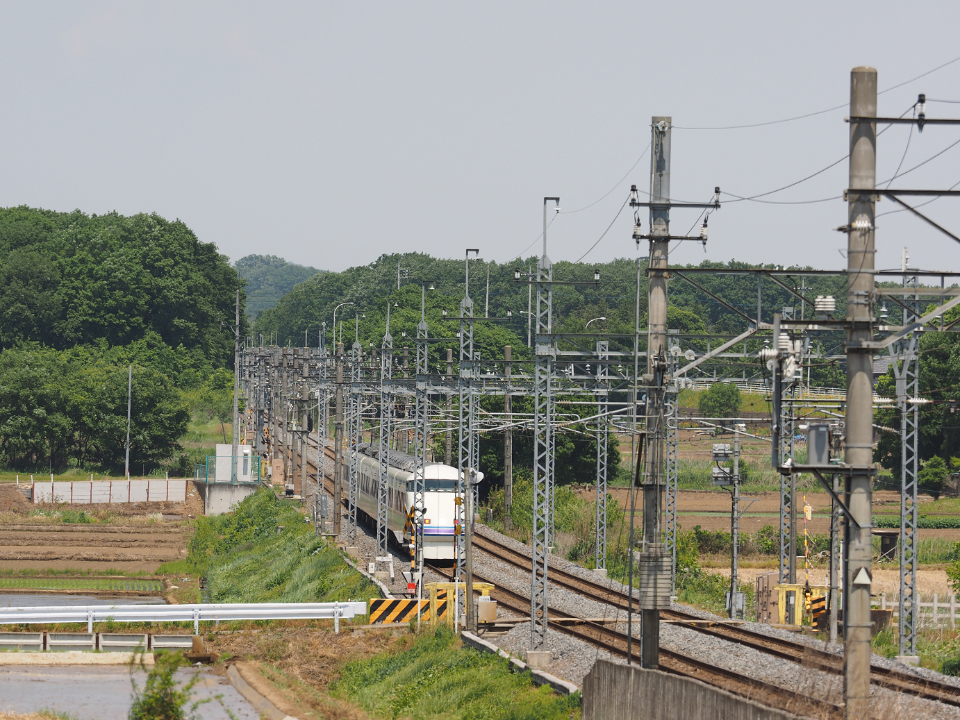P5178910.jpg