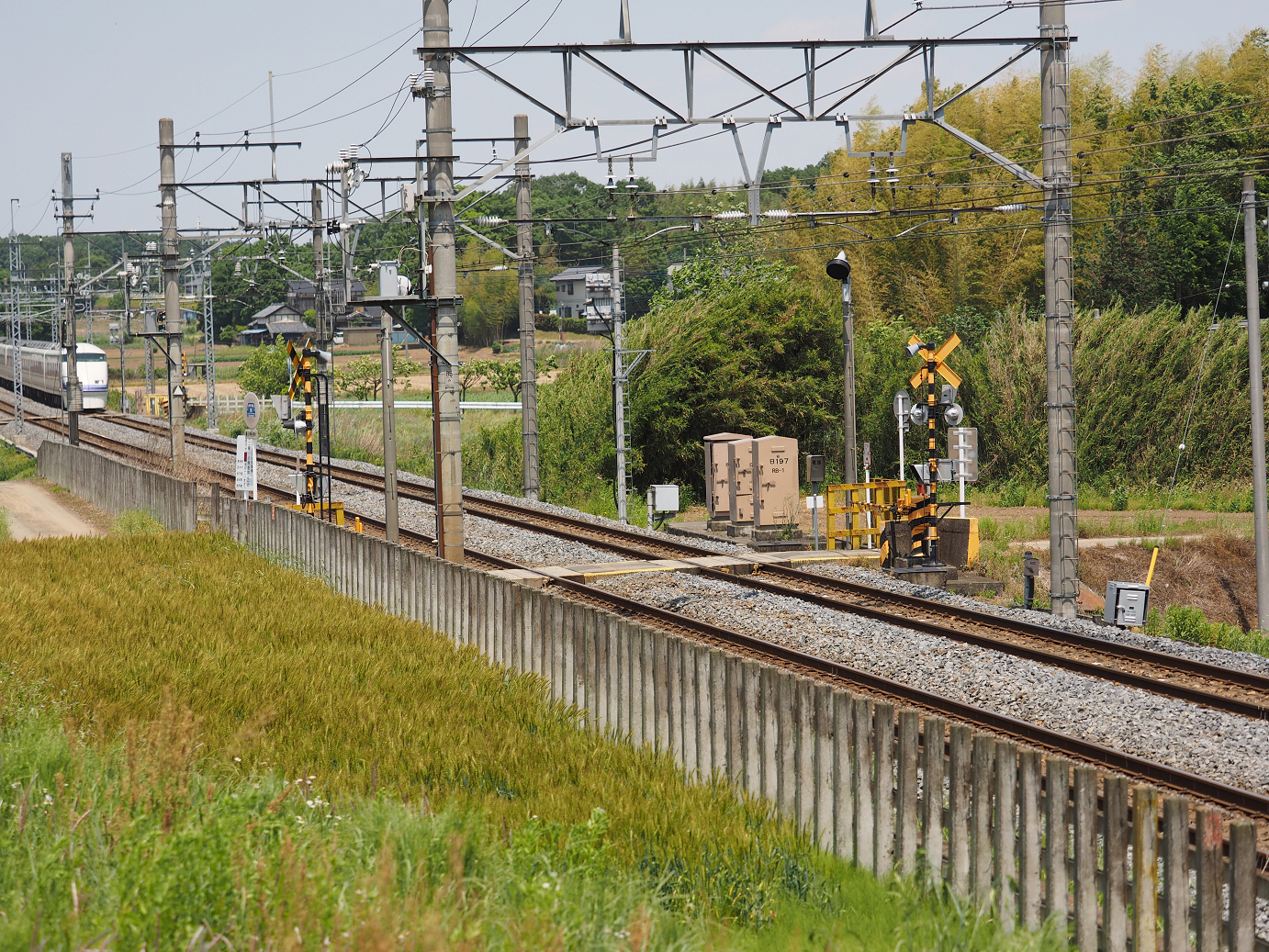 P5178912.jpg