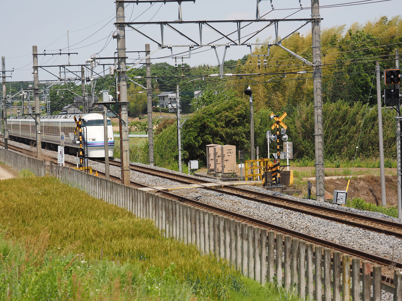 P5178913.jpg