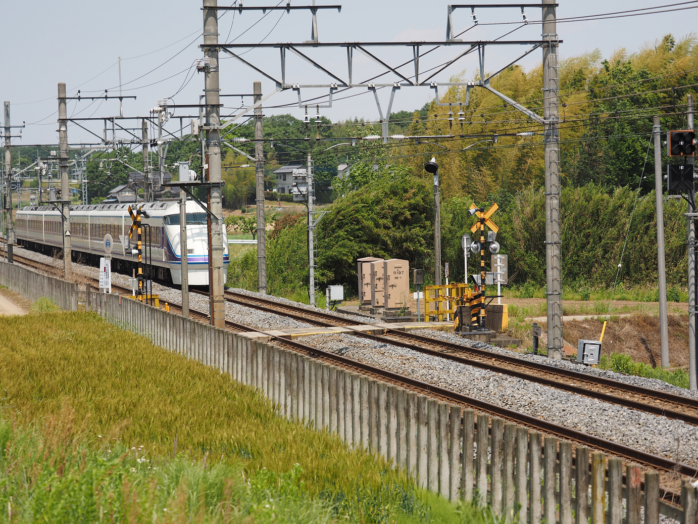 P5178914.jpg