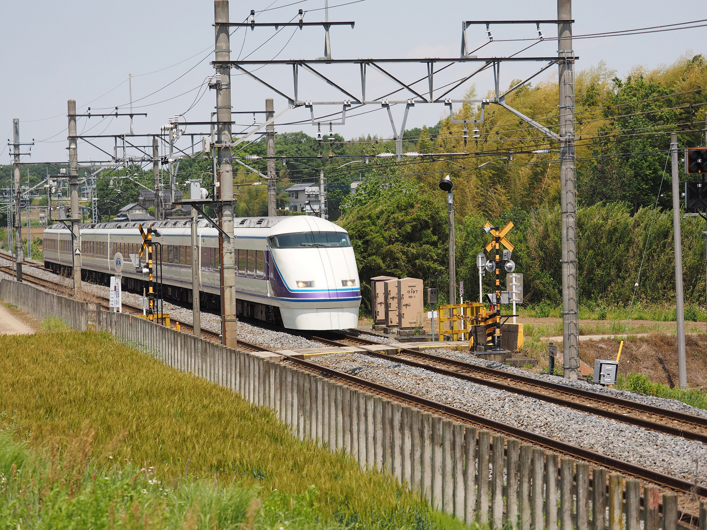 P5178918.jpg
