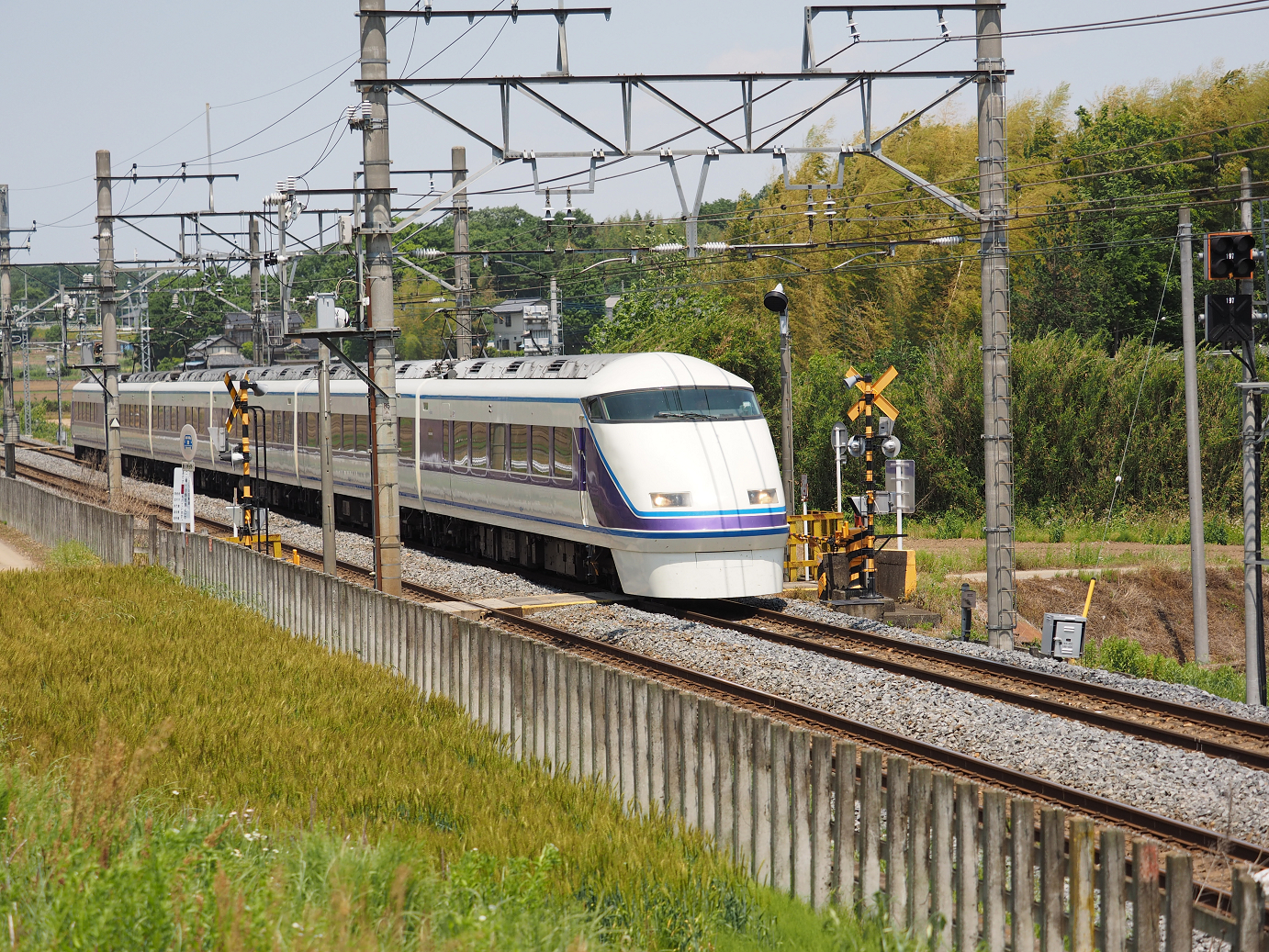 P5178920.jpg