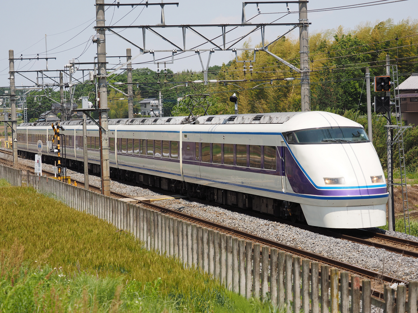 P5178923.jpg