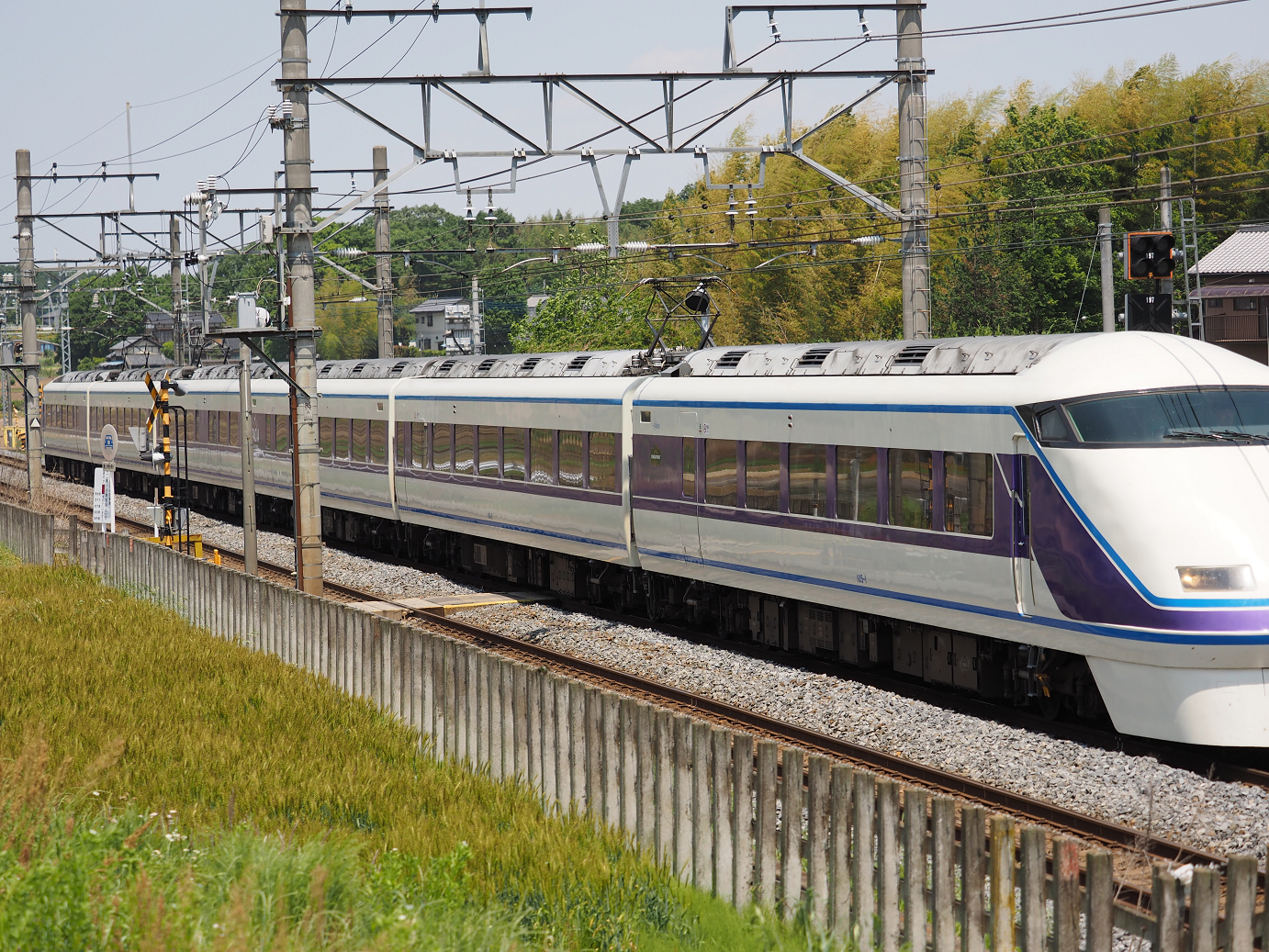 P5178924.jpg