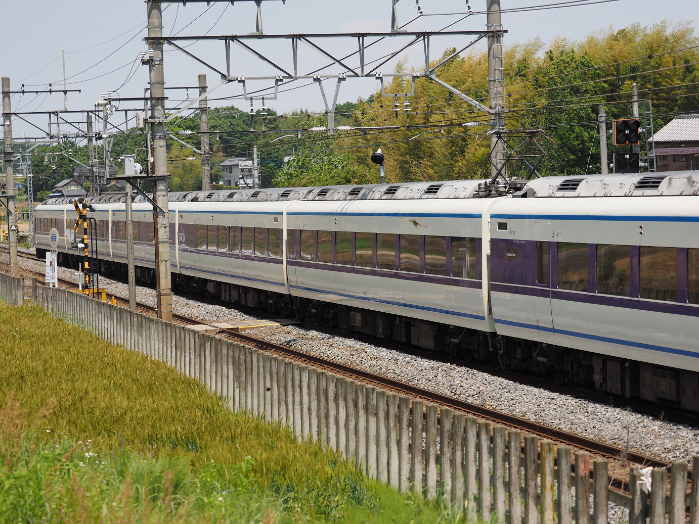 P5178926.jpg