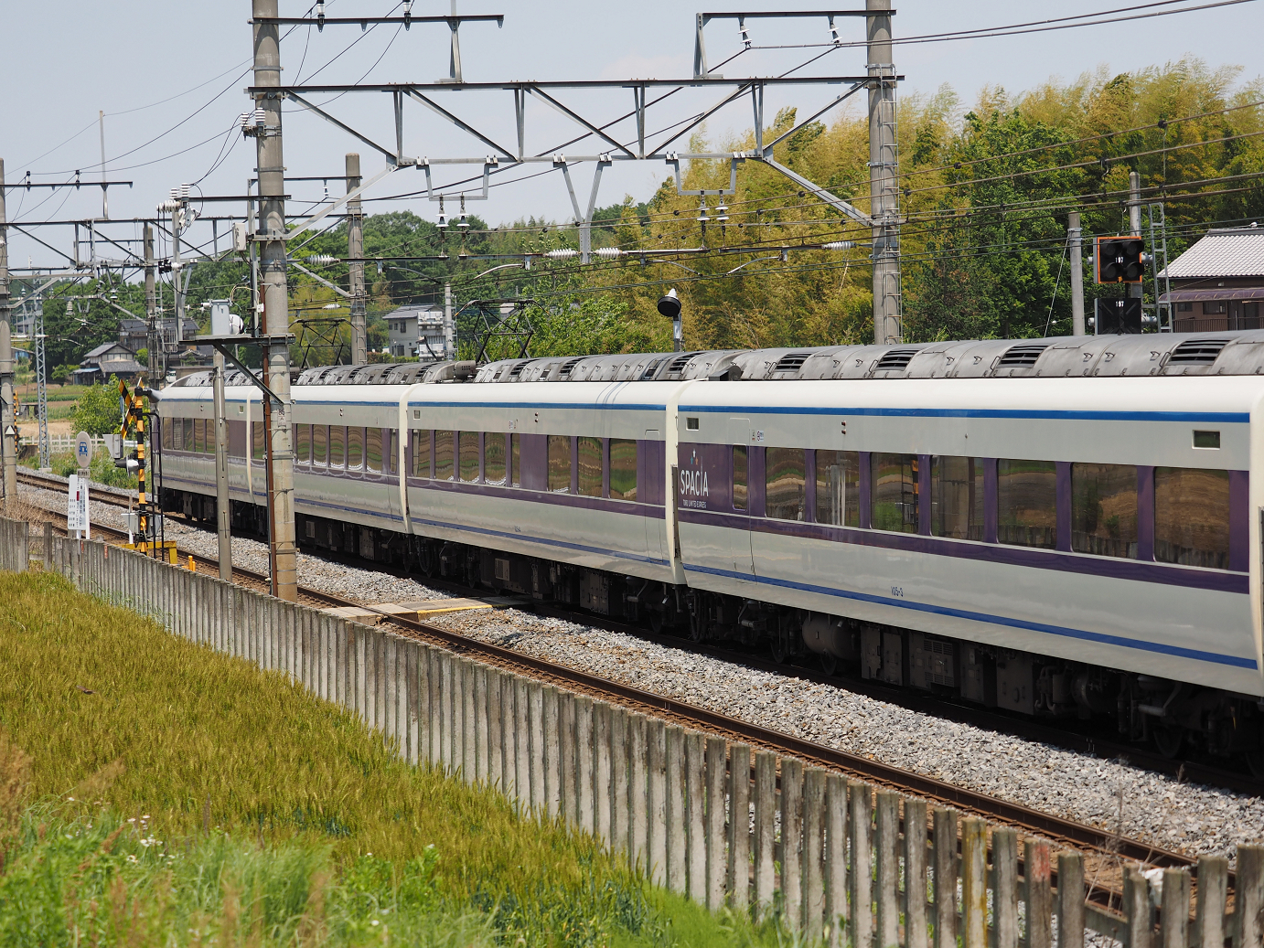 P5178931.jpg