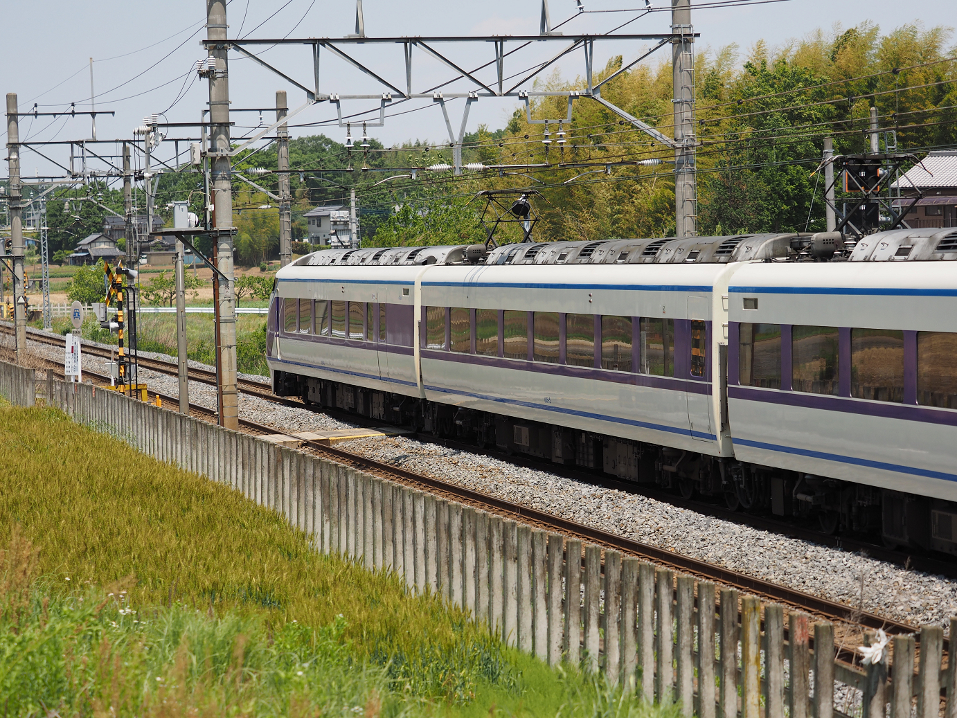 P5178936.jpg