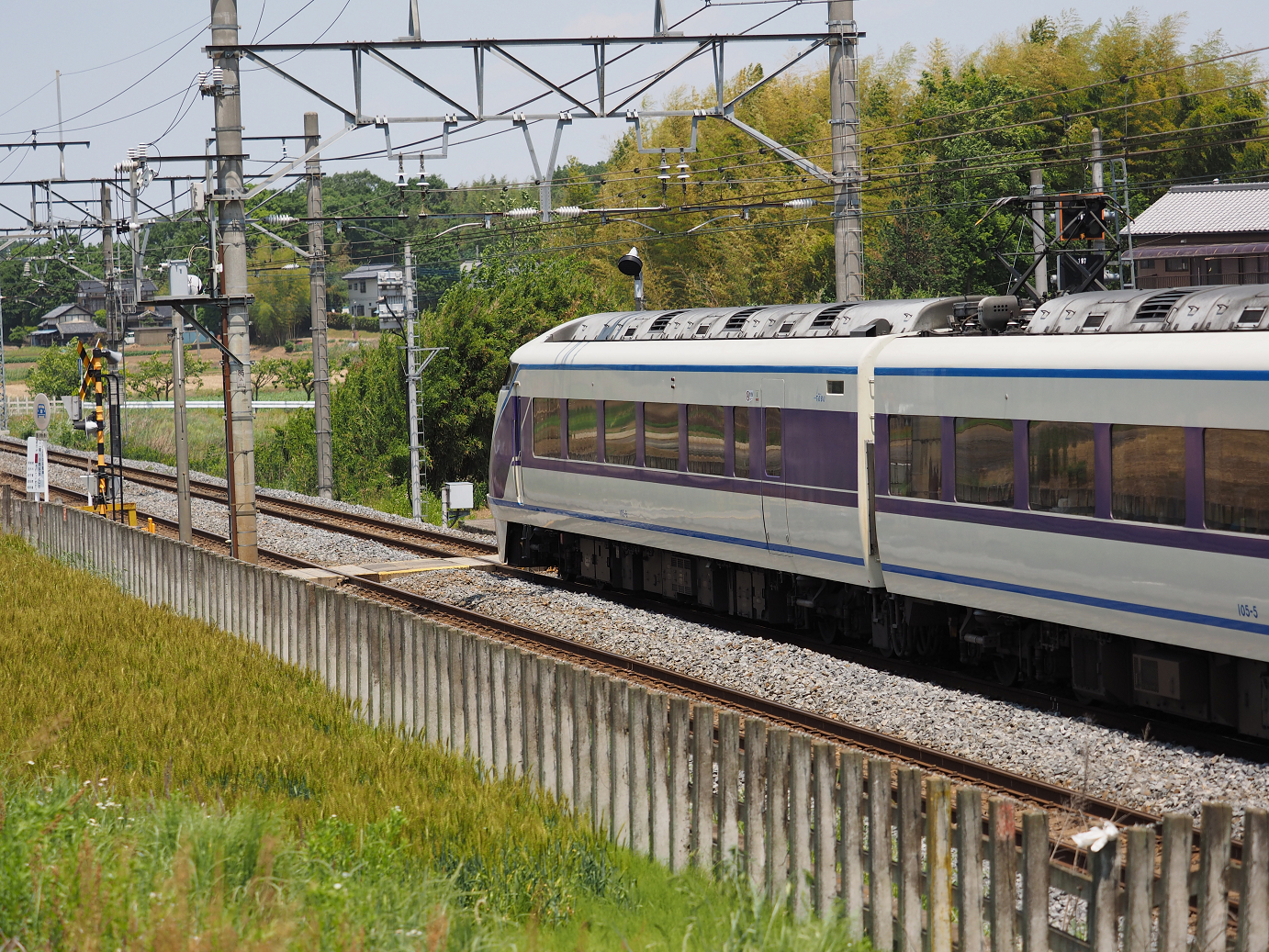 P5178939.jpg