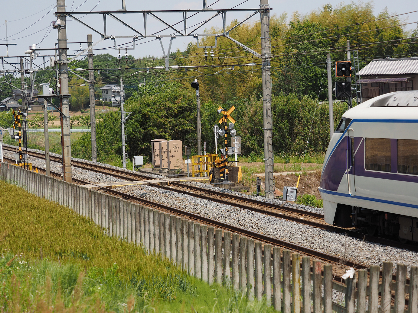 P5178943.jpg