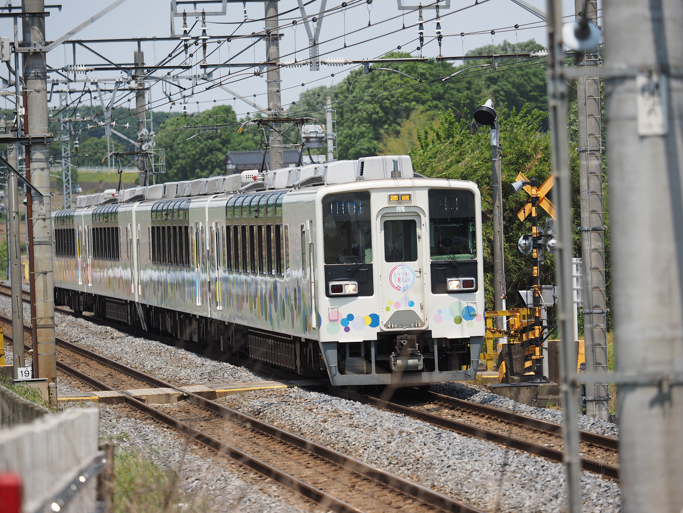 P5178960.jpg