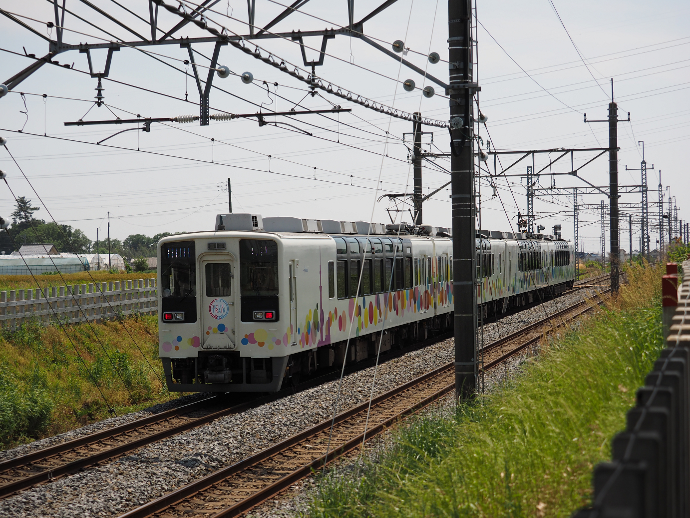 P5178970.jpg