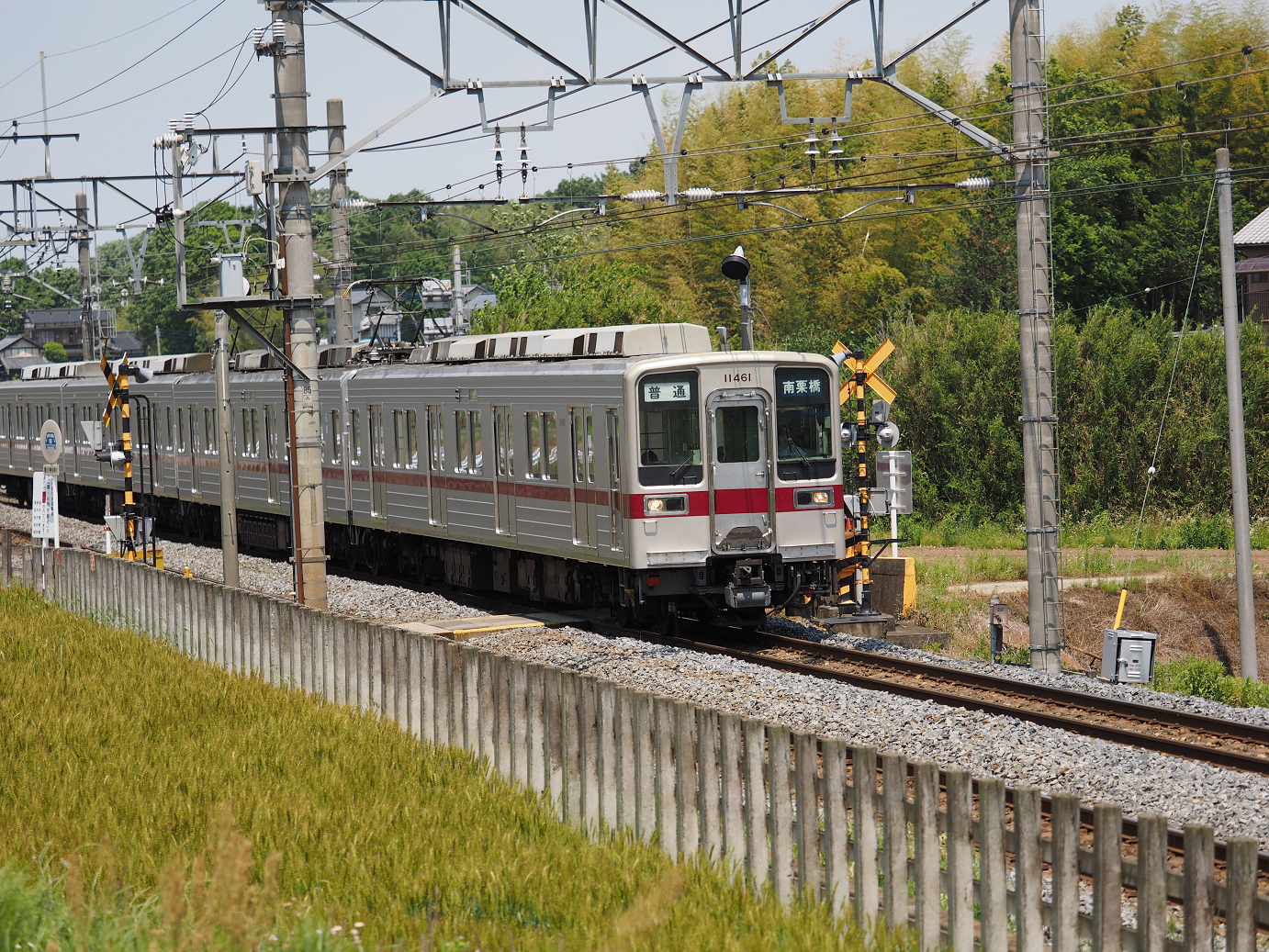 P5178974.jpg