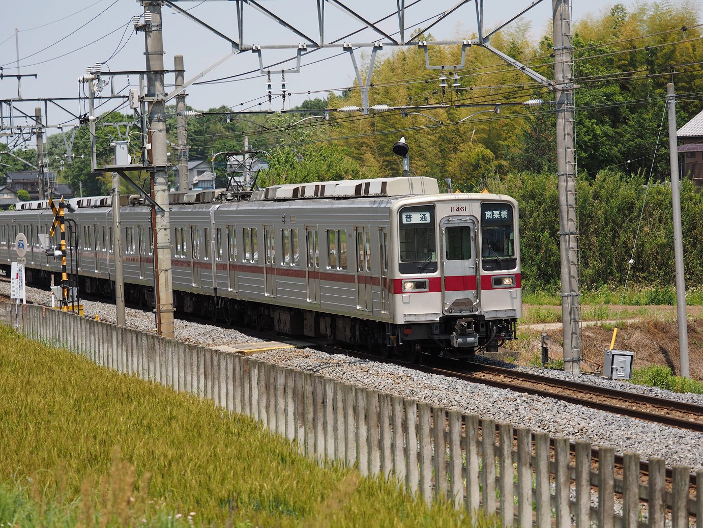 P5178976.jpg