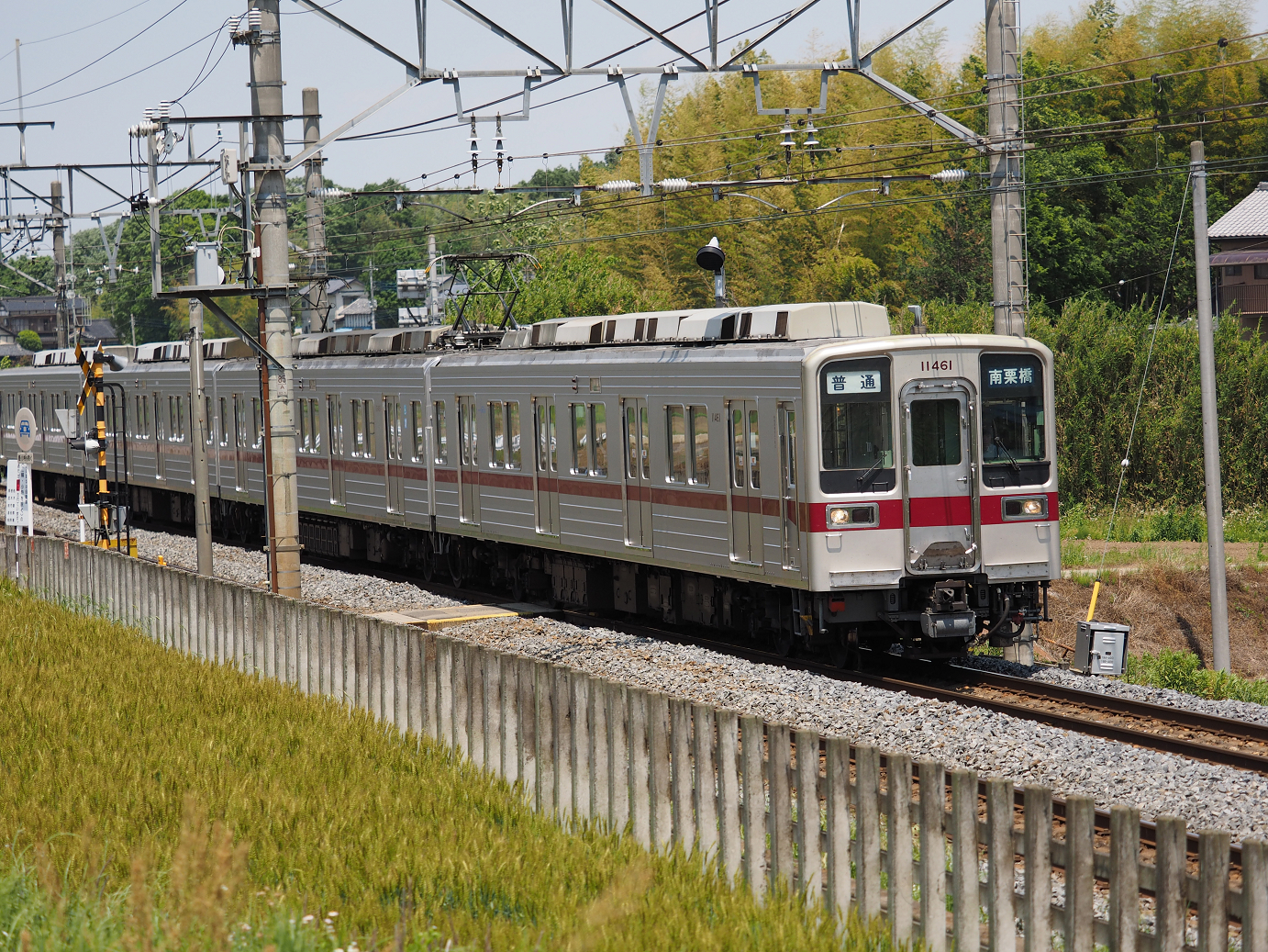 P5178978.jpg