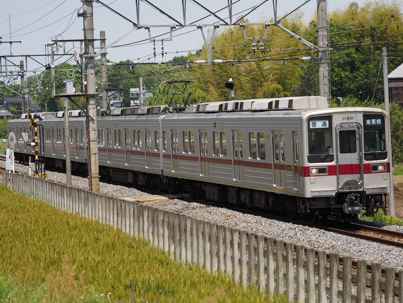 P5178980.jpg