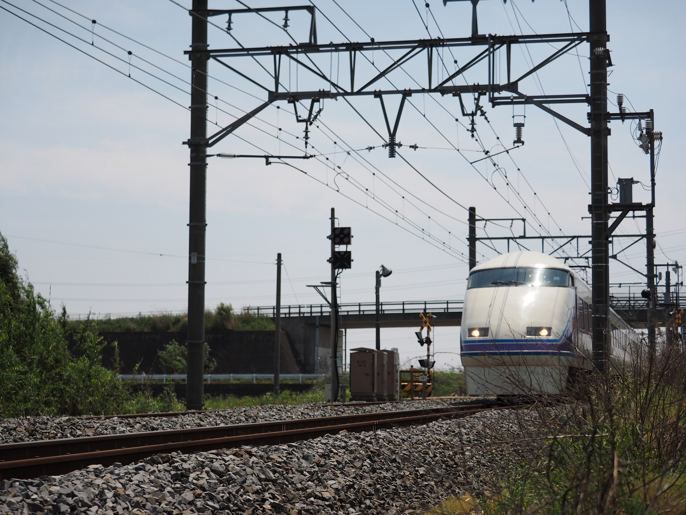 P5179006.jpg