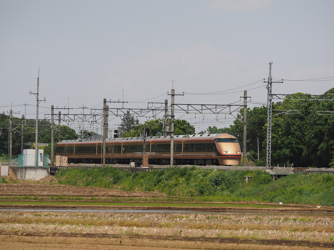 P5179066.jpg