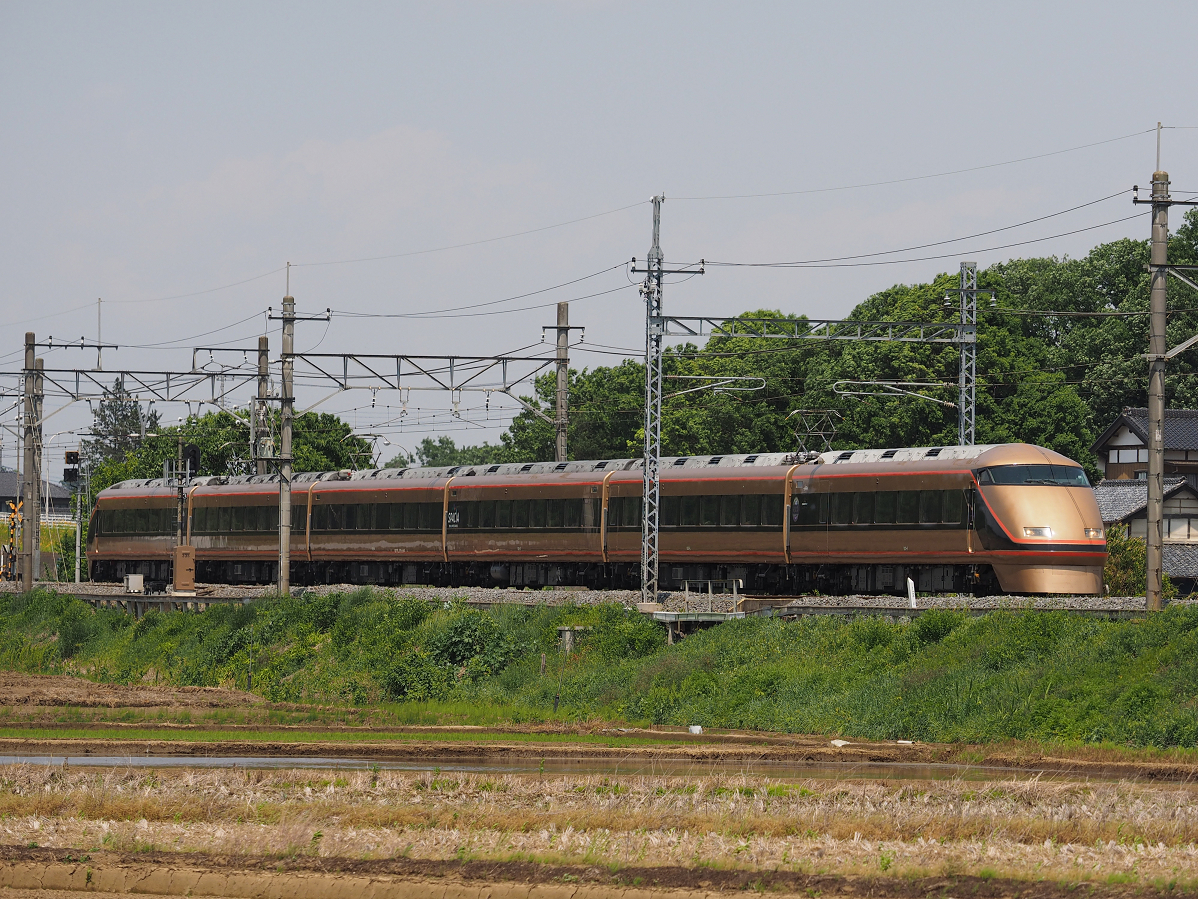 P5179069.jpg