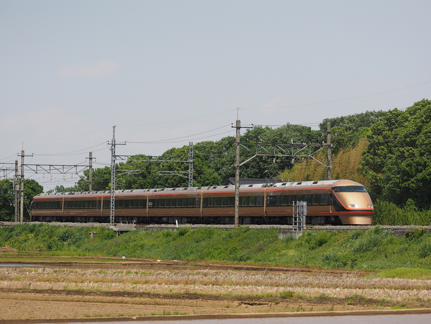 P5179077.jpg
