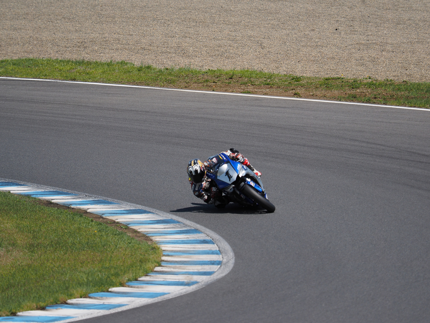 P5216043.jpg