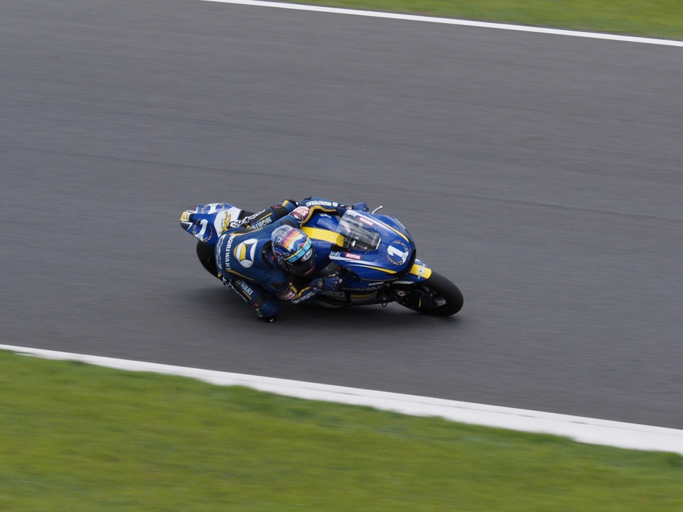P5216241.jpg