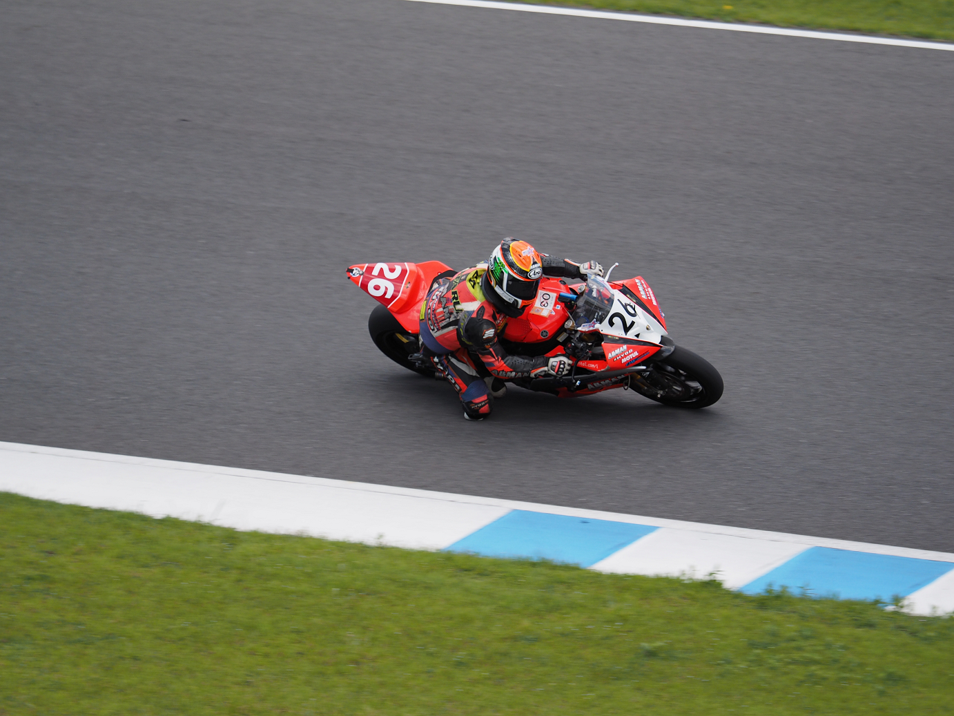 P5216257.jpg