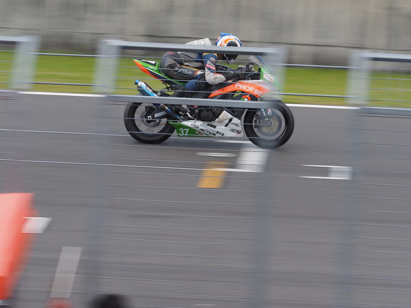P5216285.jpg