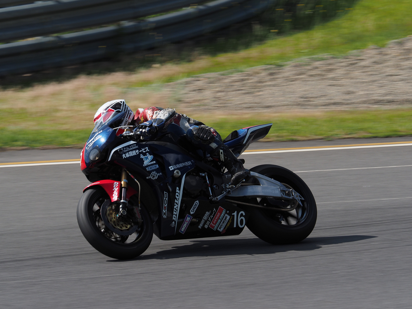 P5216455.jpg