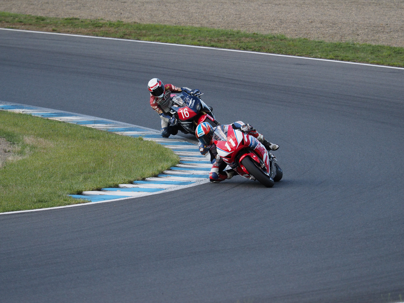 P5216505.jpg