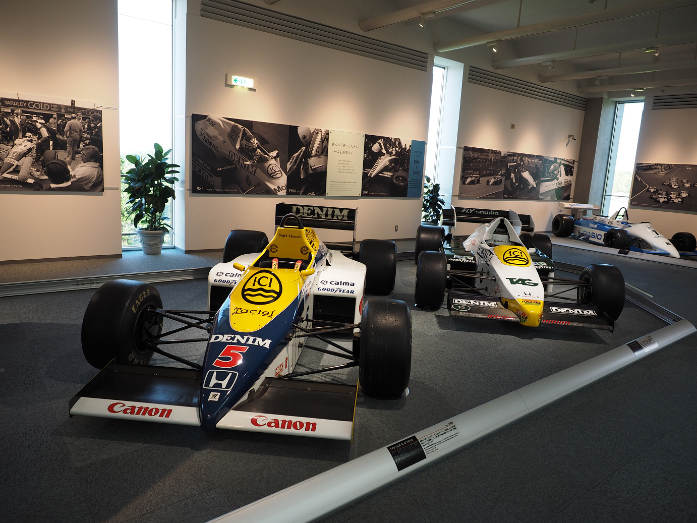 P5216531.jpg