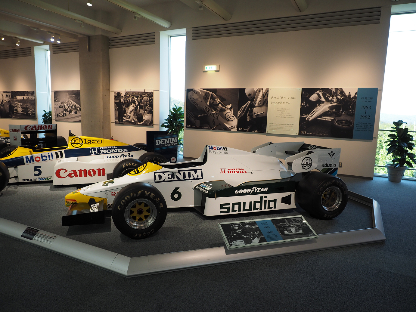 P5216533.jpg