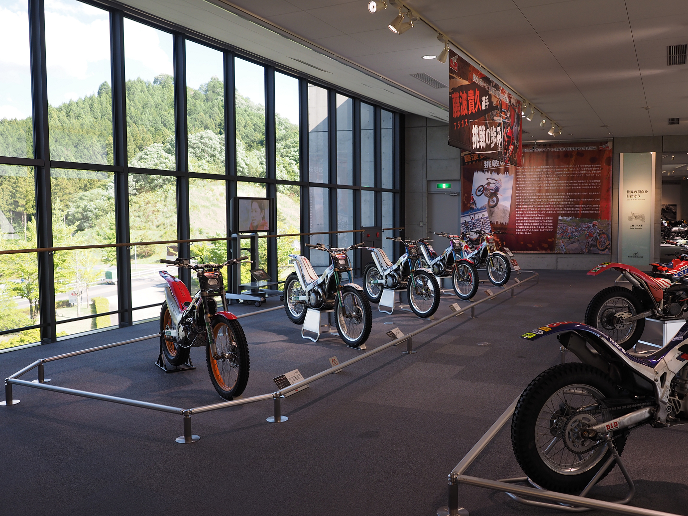 P5216543.jpg