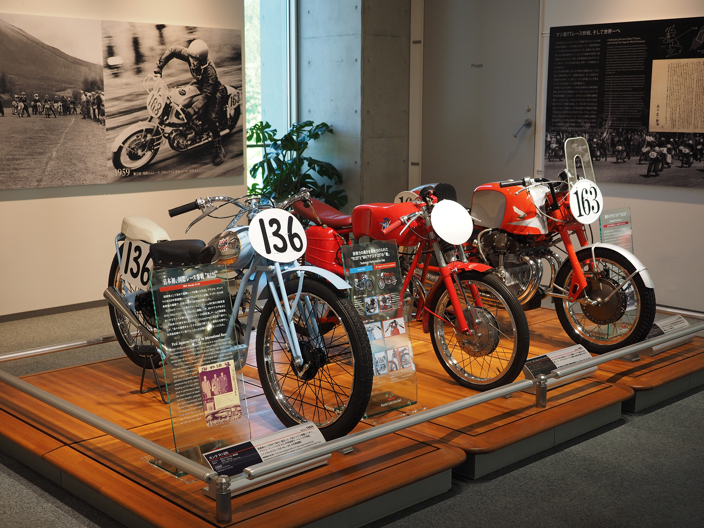 P5216545.jpg