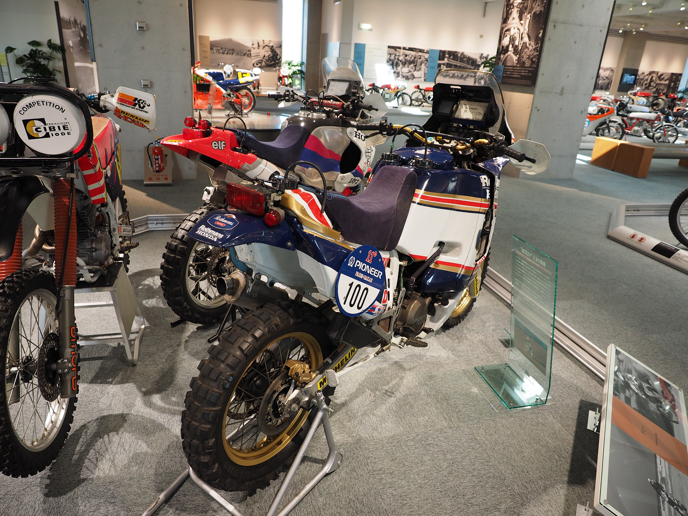 P5216557.jpg