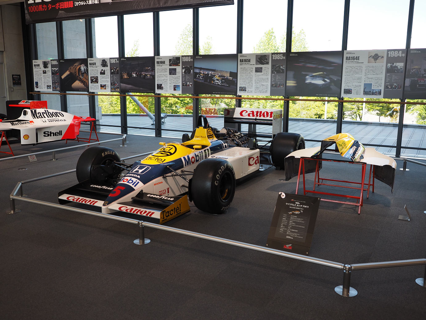 P5216561.jpg