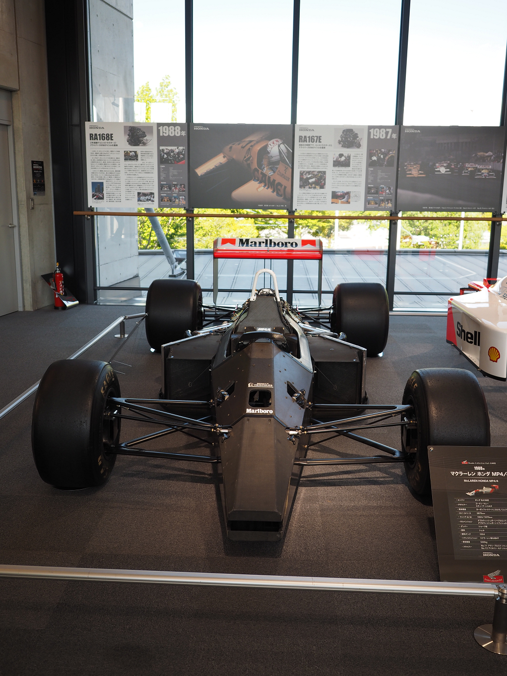 P5216565.jpg