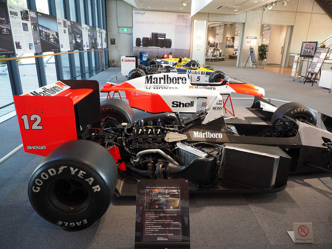 P5216577.jpg