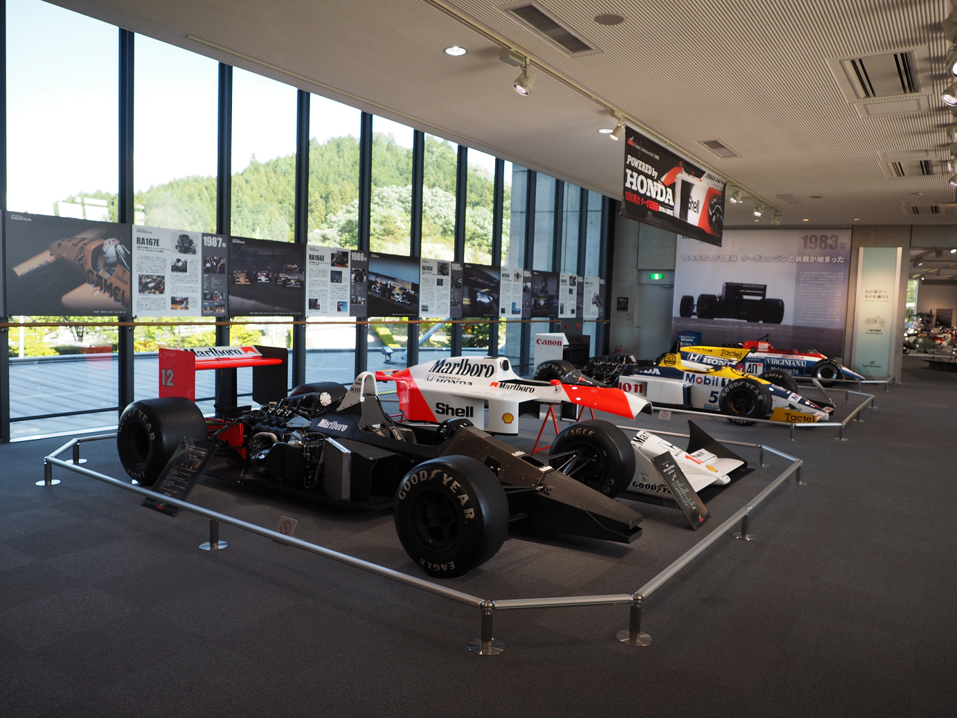 P5216599.jpg