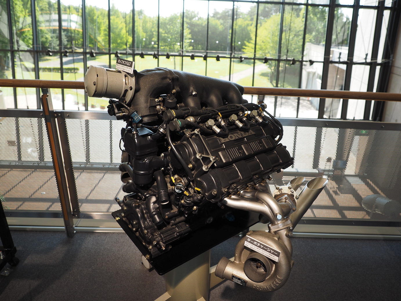 P5216605.jpg