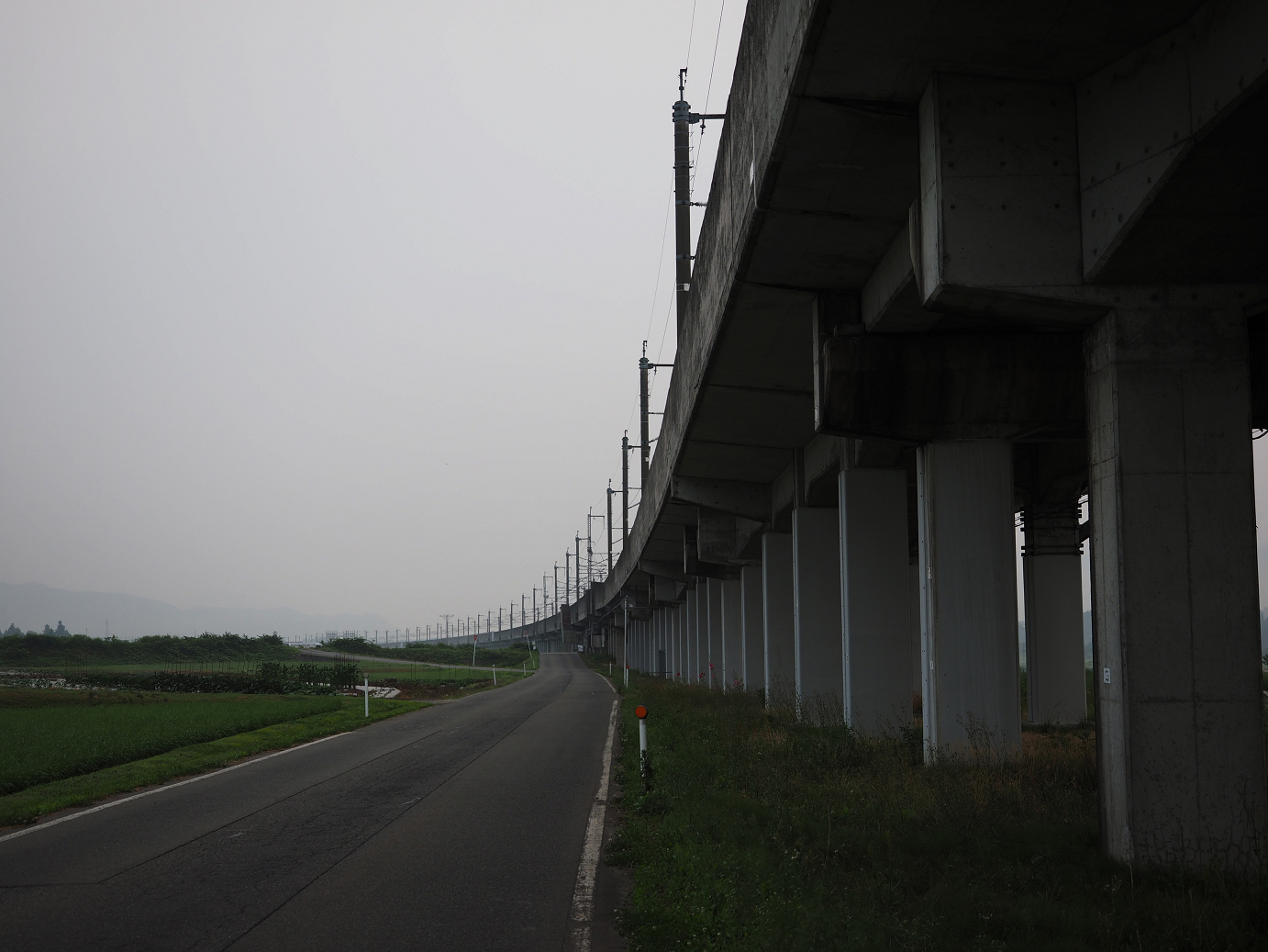 P6261520.jpg