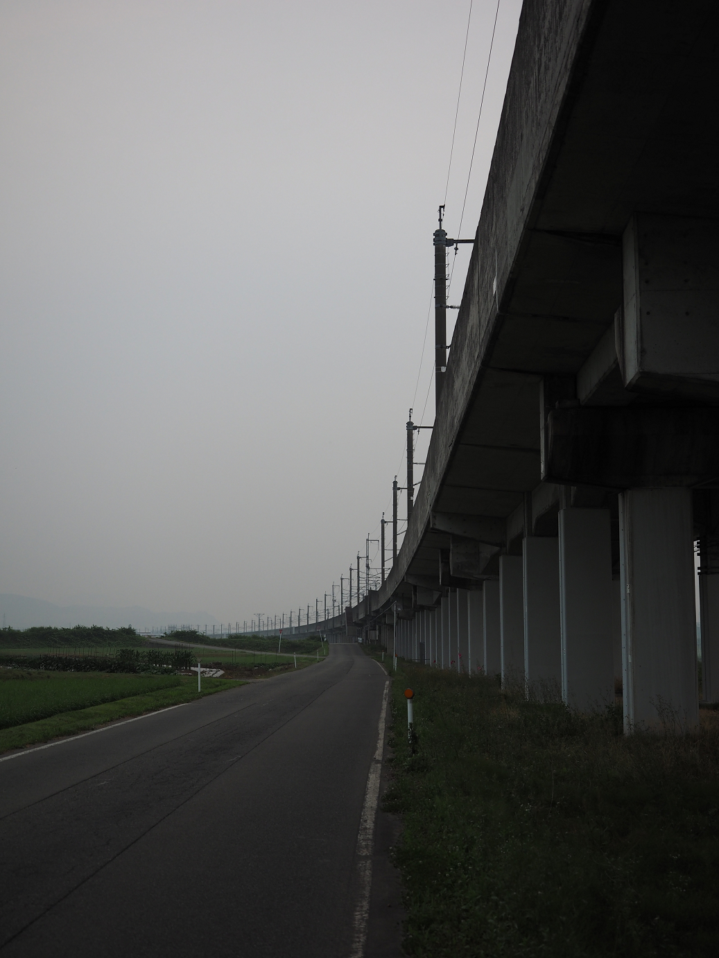 P6261521.jpg
