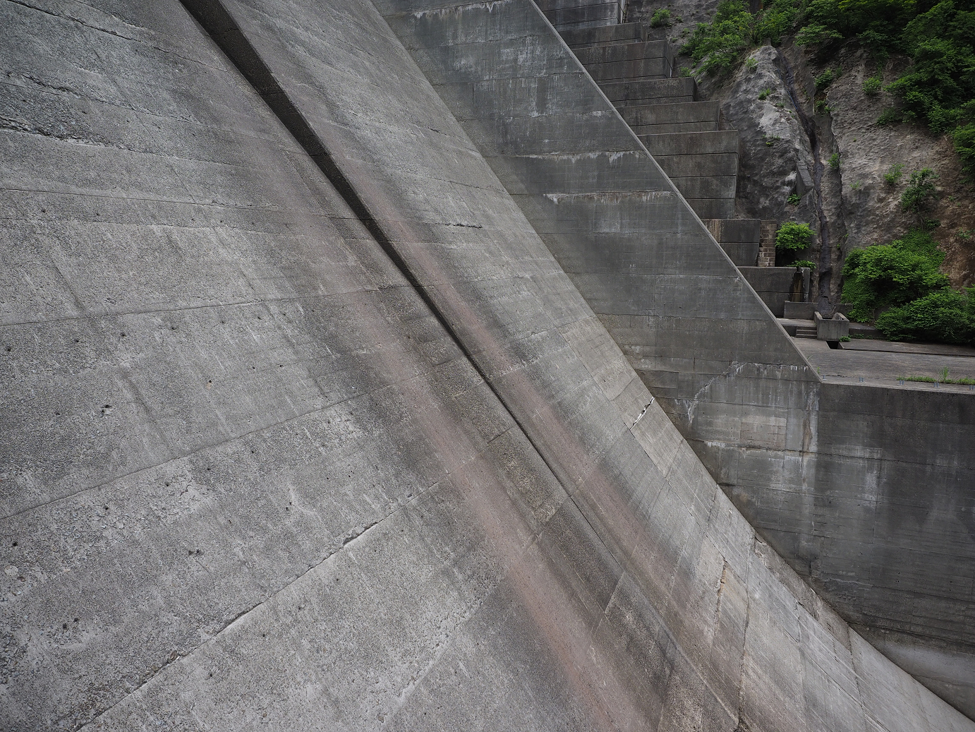 P6261535.jpg
