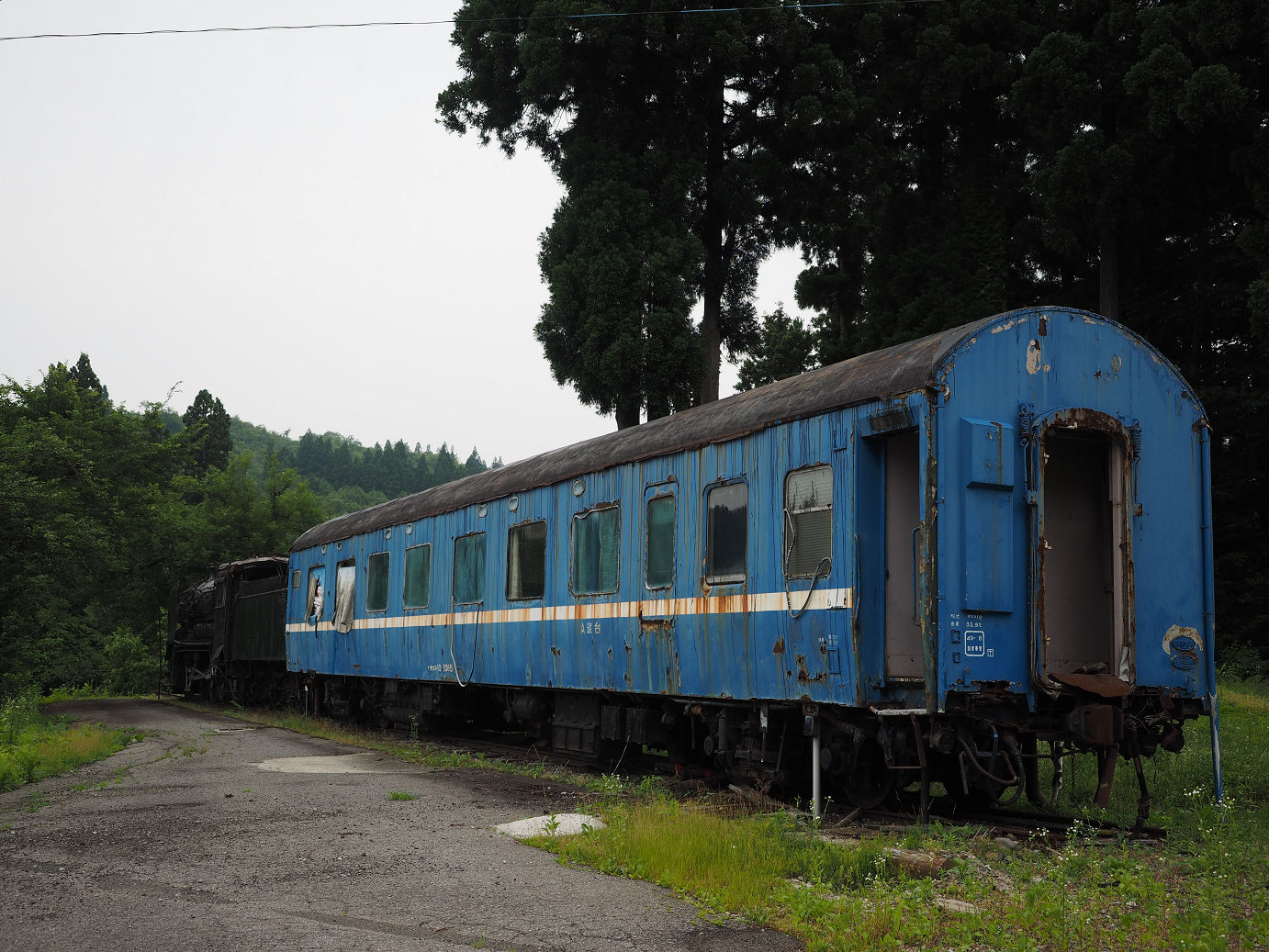 P6261539.jpg