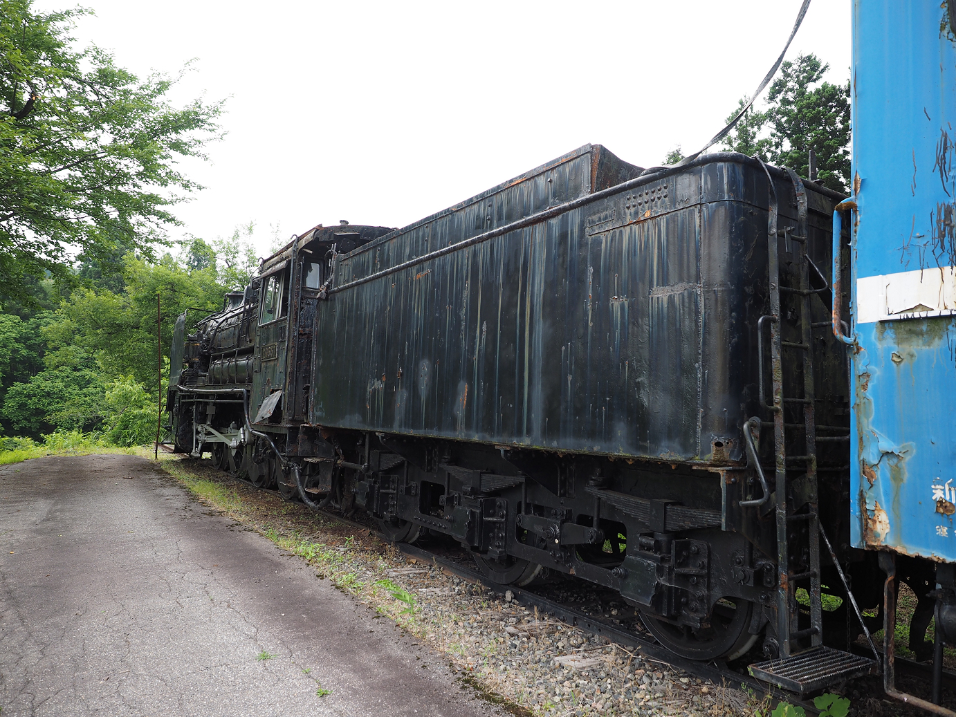 P6261542.jpg